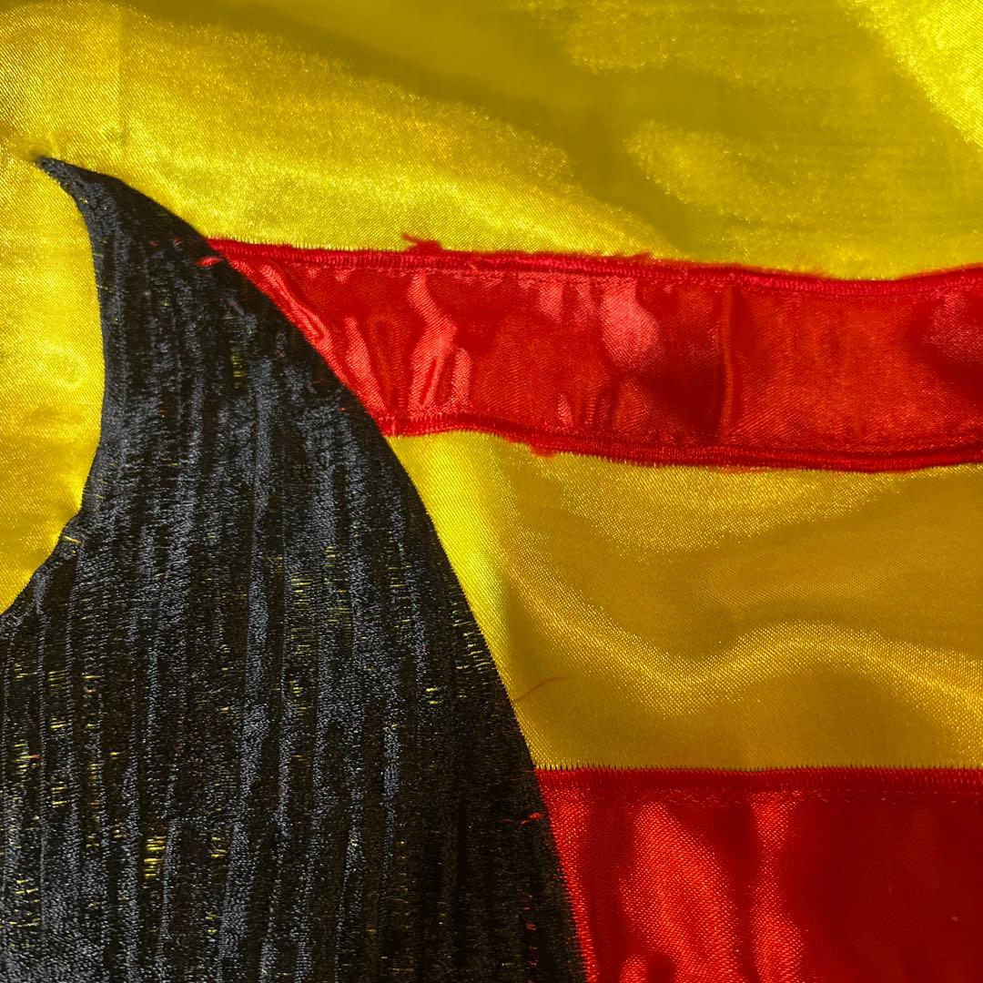 80年代製　ベトナム戦時　特殊部隊　LLTB ビンテージ大型フラッグ