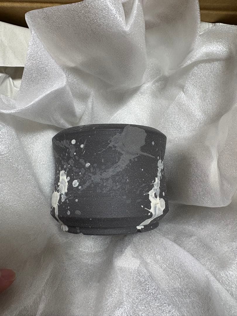 Willing plant ordinal pot W.P-004 Mix⑧