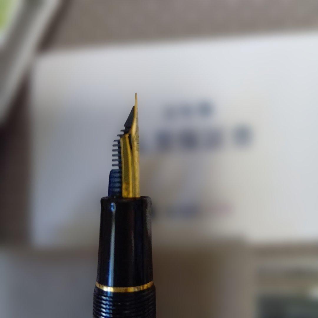 SAILOR 万年筆 黒 21金ペン先EF