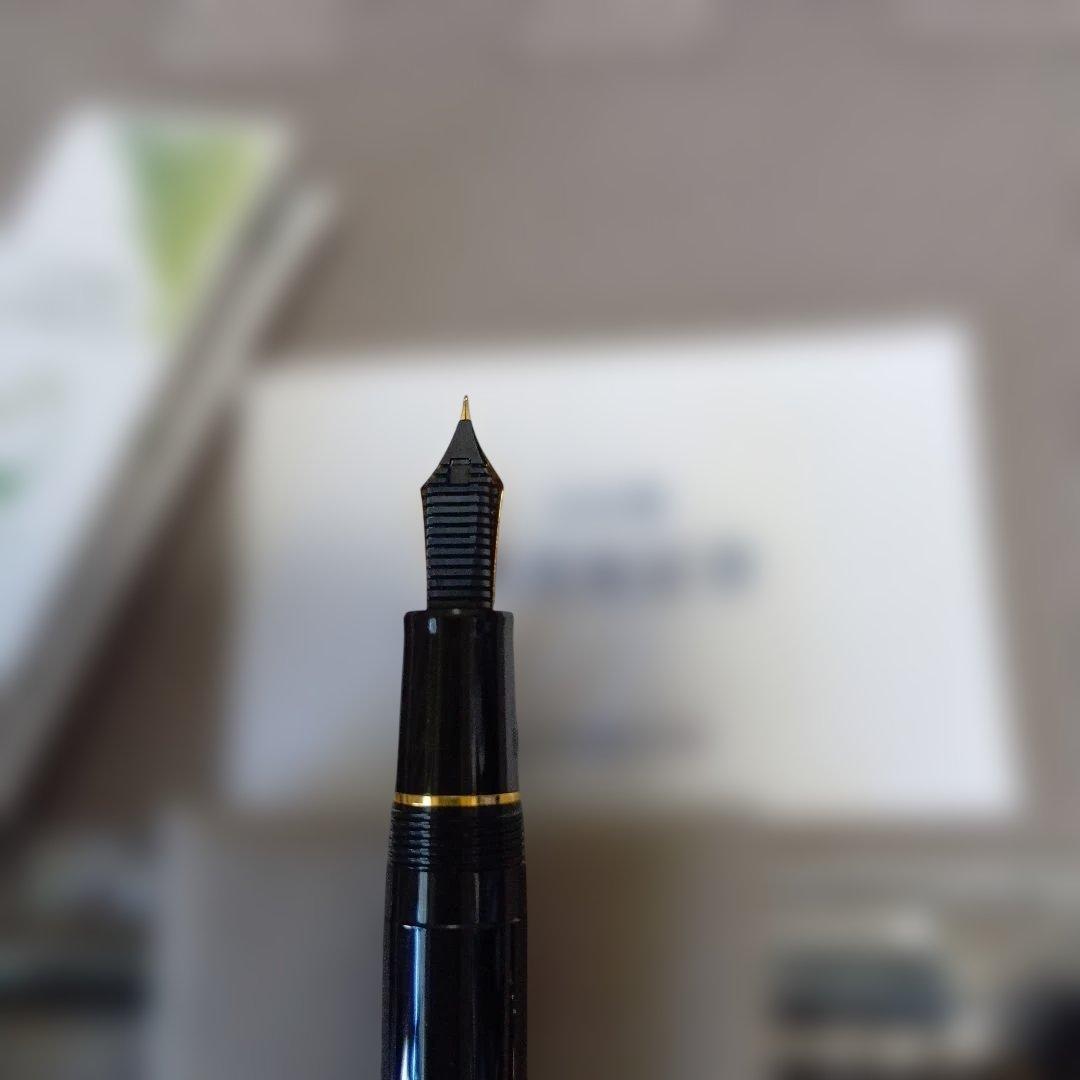 SAILOR 万年筆 黒 21金ペン先EF