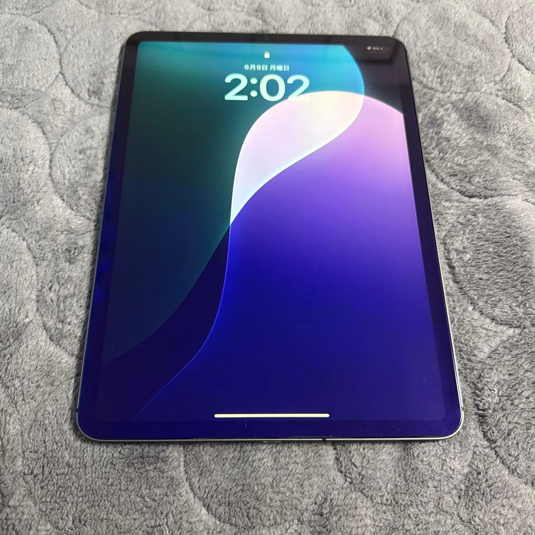 iPad pro 11インチ 第1世代 256GB セルラーMU102J/A