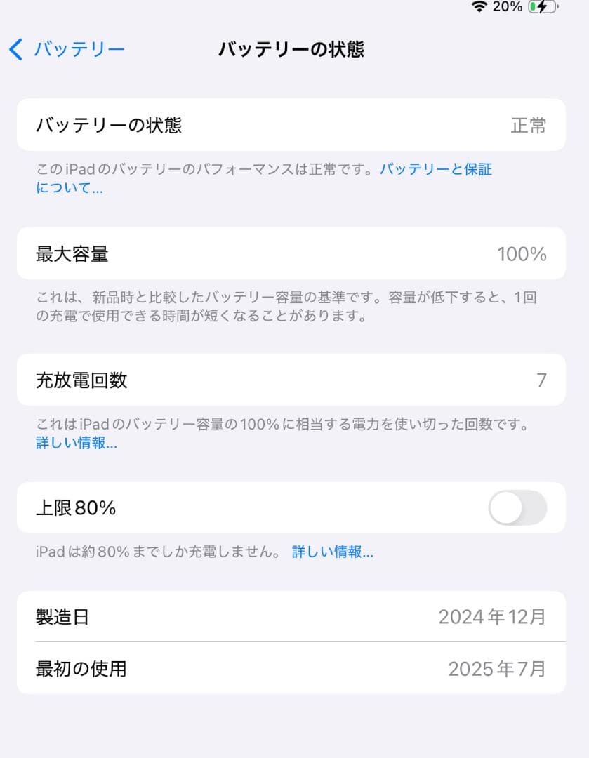 Apple iPad Pro (11インチ) 256GB M4 使用1ヶ月未満