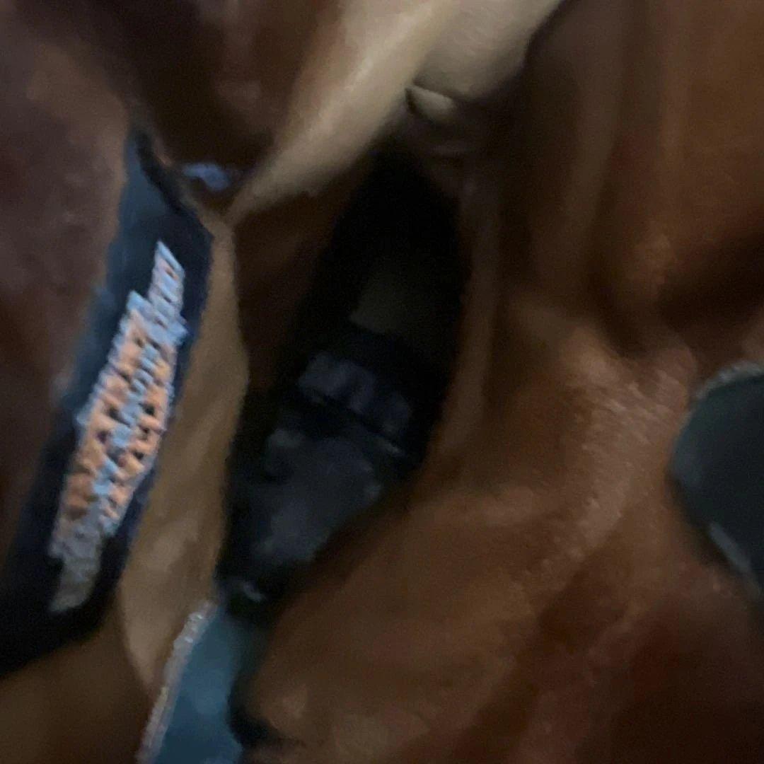 ケ*ジ様 ハーレーダビッドソン ジップアップエンジニアブーツ　91/2