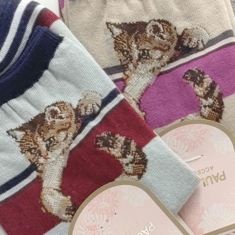 ポール&ジョー　ソックス　5足　ヌネット　猫　ネコ　ねこ　キジトラ　レア　希少