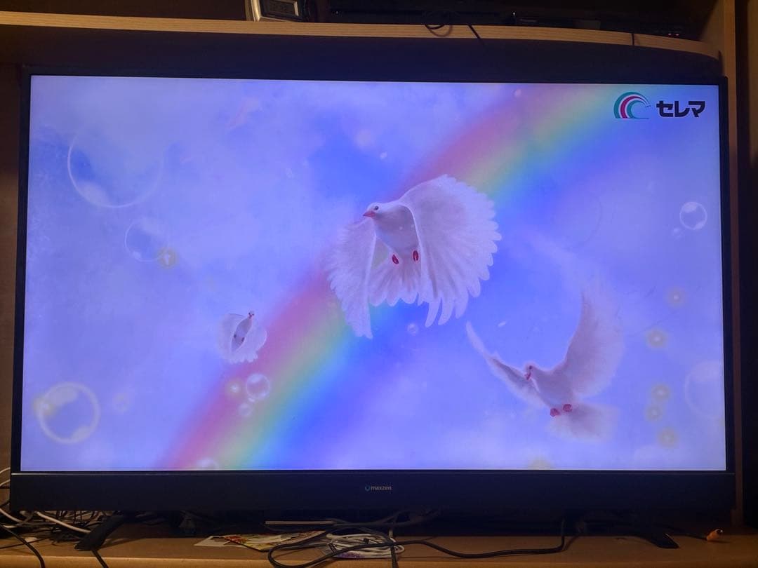 処分前値引き！MAXZENマクスゼン♡ JU49SK03♡液晶大画面♡49インチ