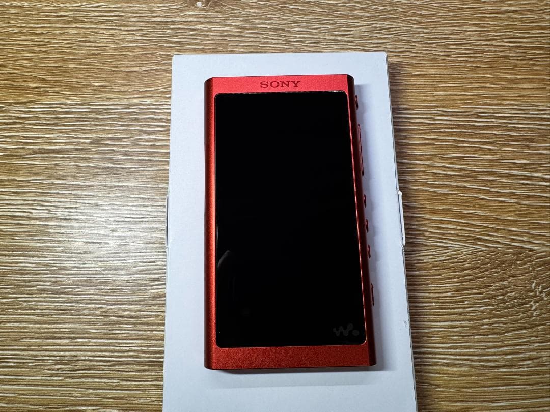 【保護フィルム・本体ケース付き】SONY ウォークマン NW-A55HN