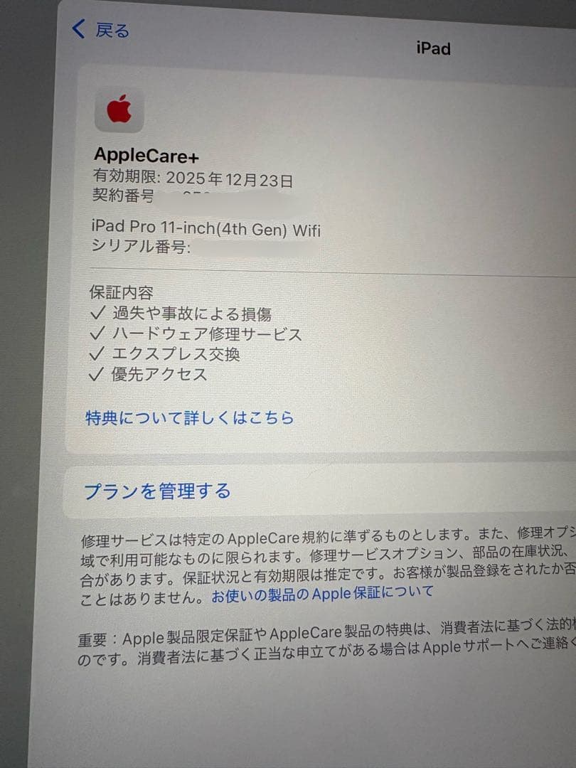 iPad Pro 本体　第4世代