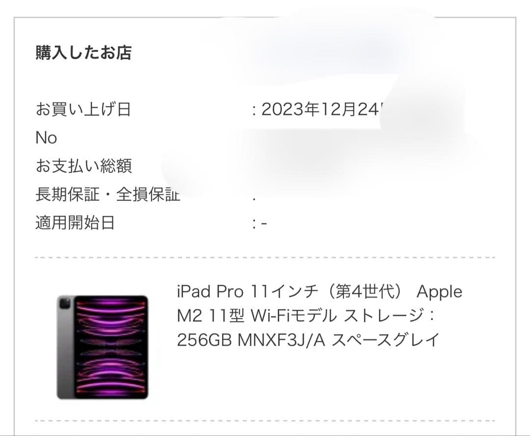 iPad Pro 本体　第4世代