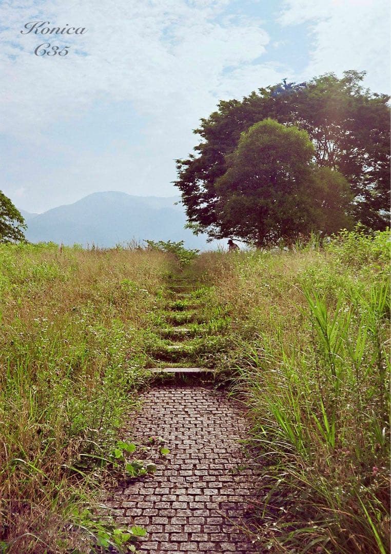 ★希少・完動品★konica c35★本革外装＊美品＊初期保証★フィルム入門に！