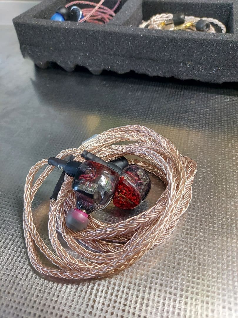 446　イヤホン11本 セット　ハードケース、cayin n5 ii 付き