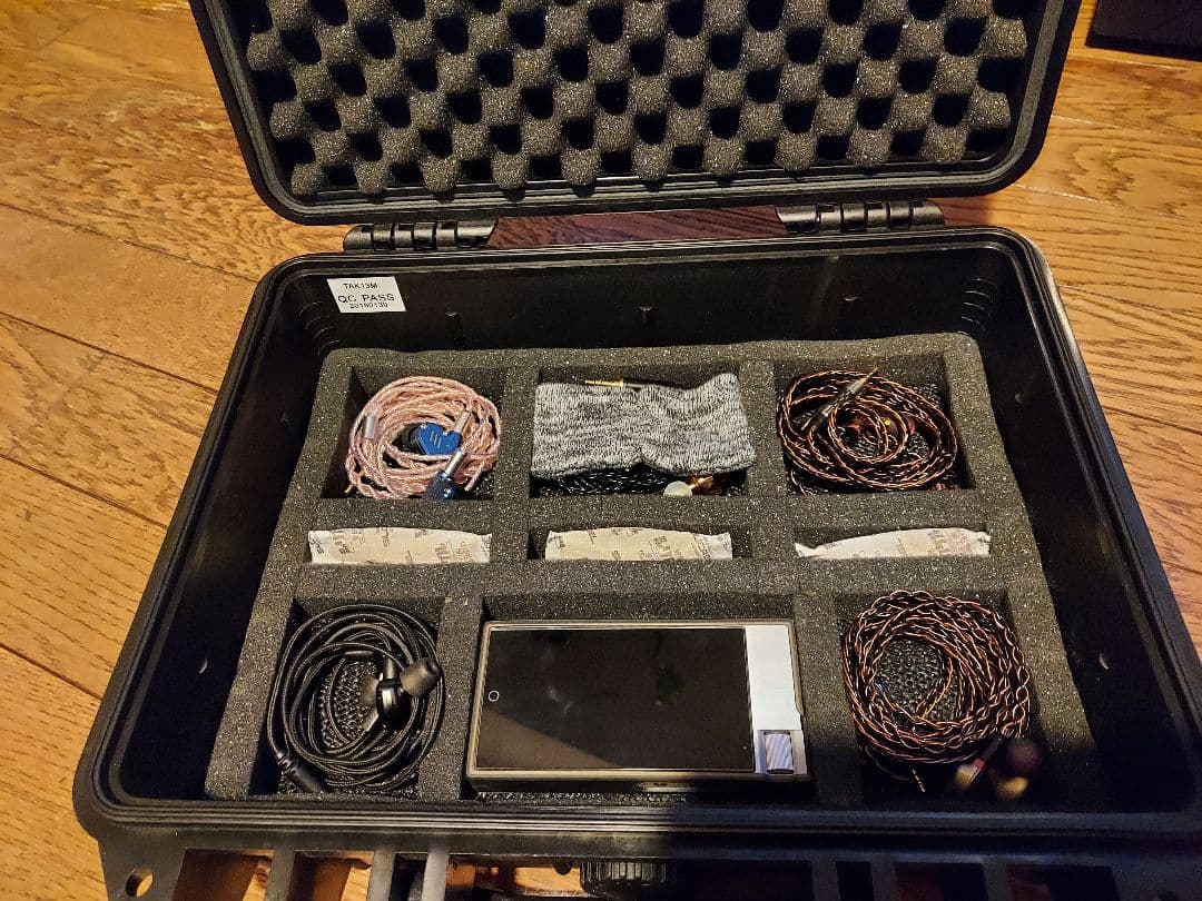 446　イヤホン11本 セット　ハードケース、cayin n5 ii 付き