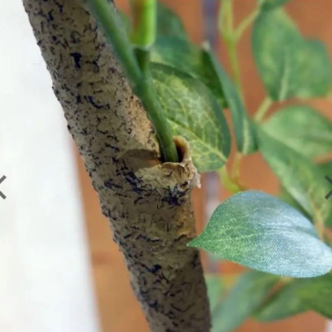 光触媒　人工観葉植物　ウォールグリーン　フェイクグリーン　トネリコ180180