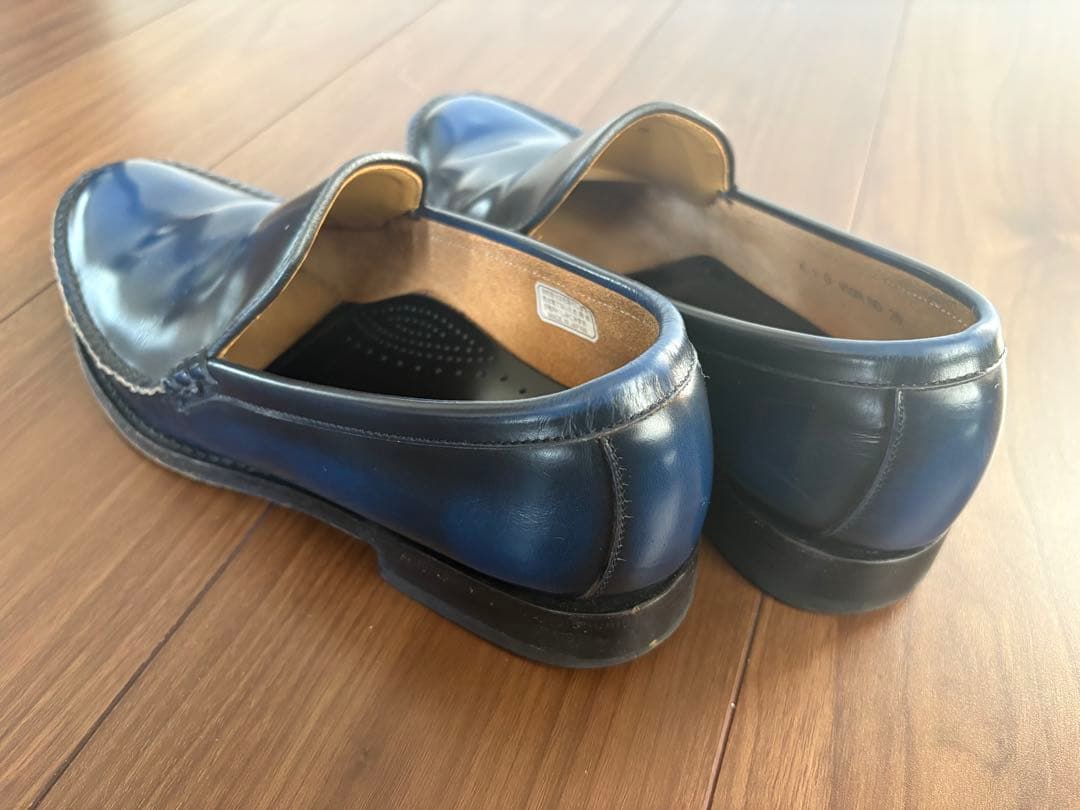 REGAL 26 930R 50周年記念 コブラヴァンプ