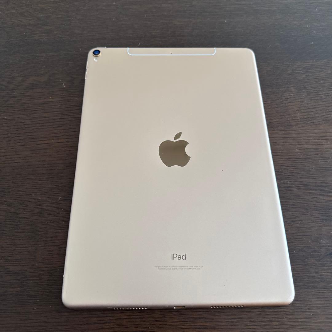 iPad Pro 10.5インチ Cellularモデル (docomo)