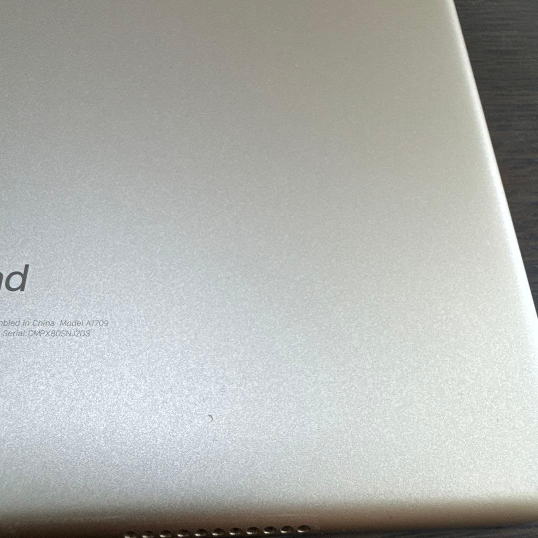 iPad Pro 10.5インチ Cellularモデル (docomo)