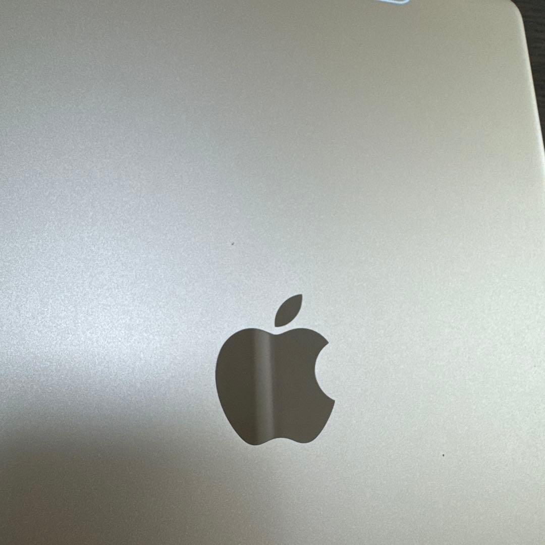 iPad Pro 10.5インチ Cellularモデル (docomo)