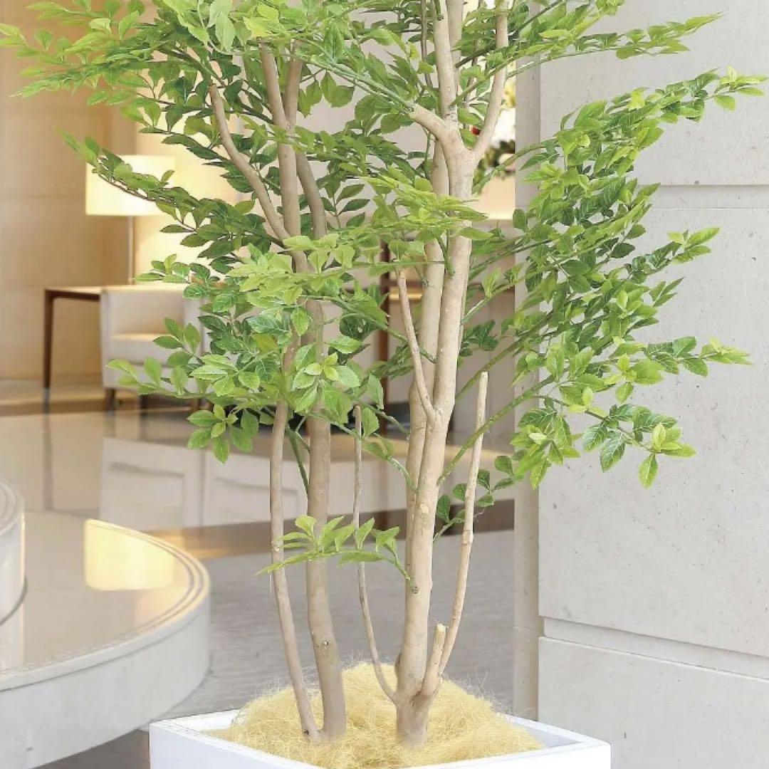 光触媒　人工観葉植物　フェイクグリーン　アーバンゴールデンリーフ1.8m