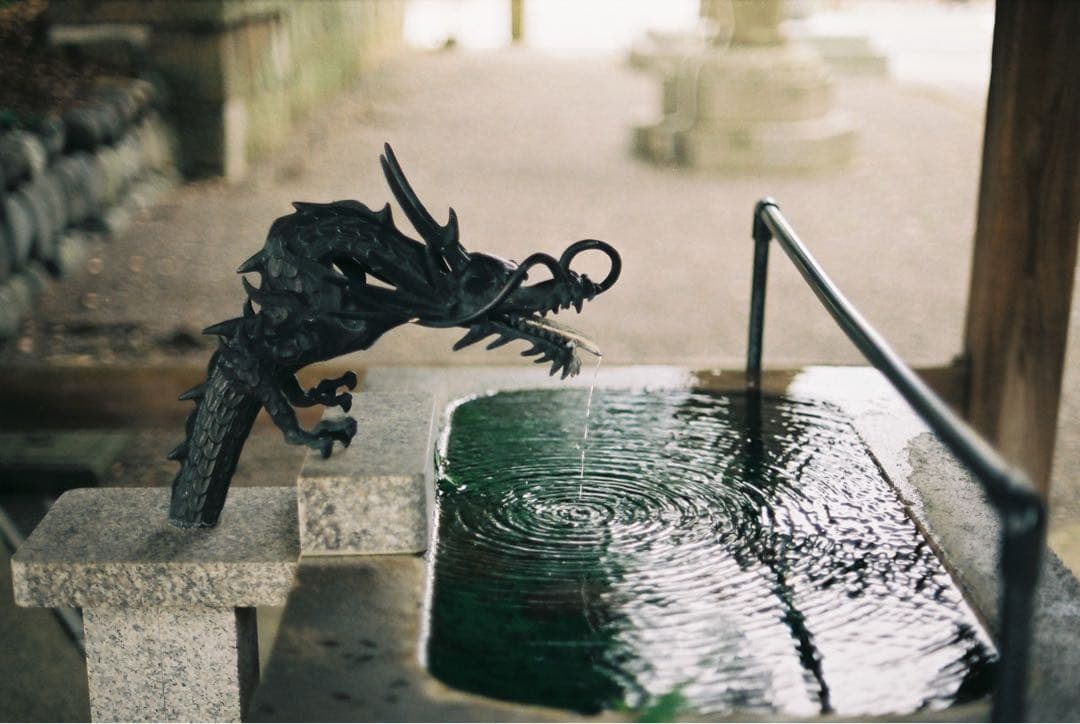 【整備品】CANON 旧F-1 前期　作例あり