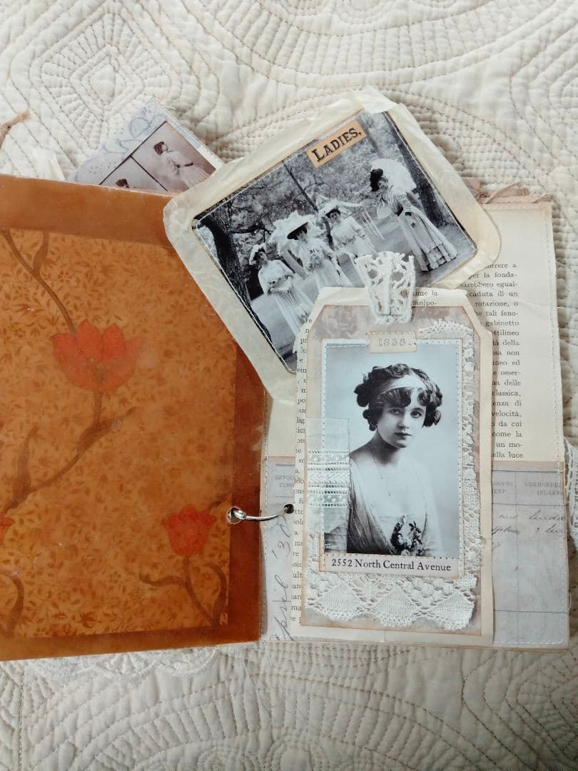 ジャンクジャーナル Lady Memoir