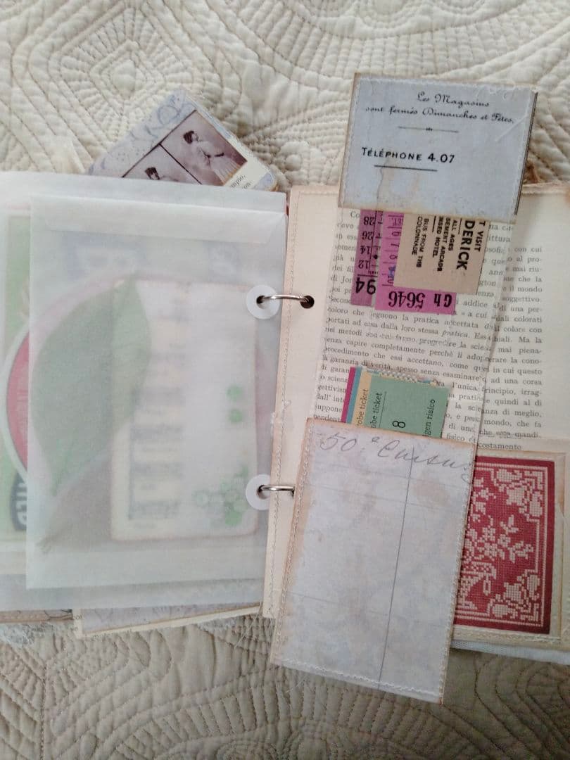 ジャンクジャーナル Lady Memoir