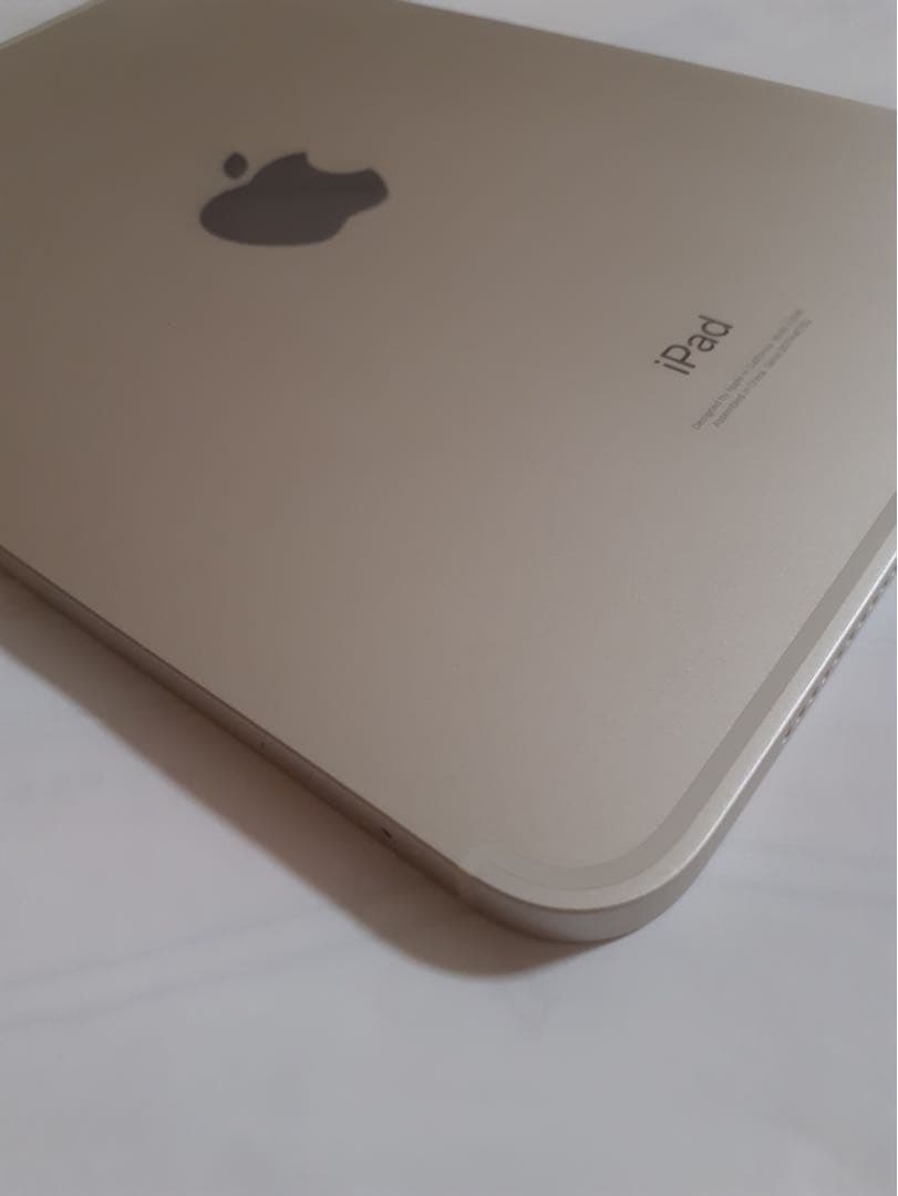 【買い得品】iPadmini6第六世代 256GB Wi-Fi＋セルラー