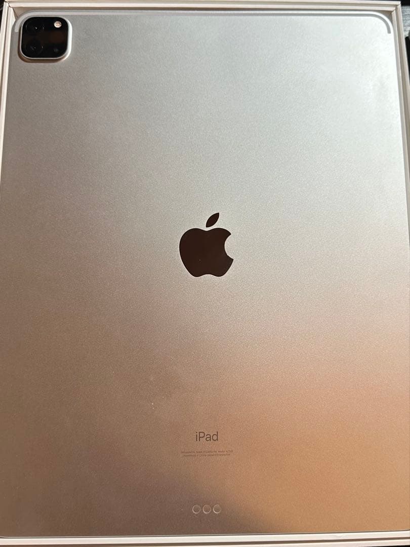 【美品】iPad Pro 第5世代12.9シルバー + Apple Pencil