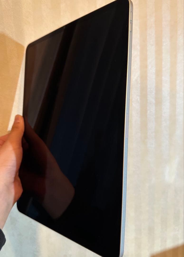 【美品】iPad Pro 第5世代12.9シルバー + Apple Pencil