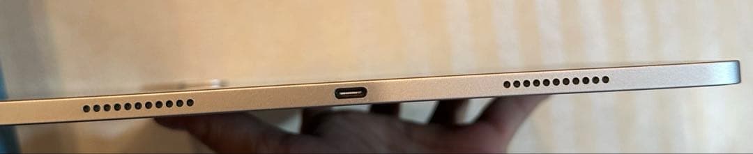 【美品】iPad Pro 第5世代12.9シルバー + Apple Pencil