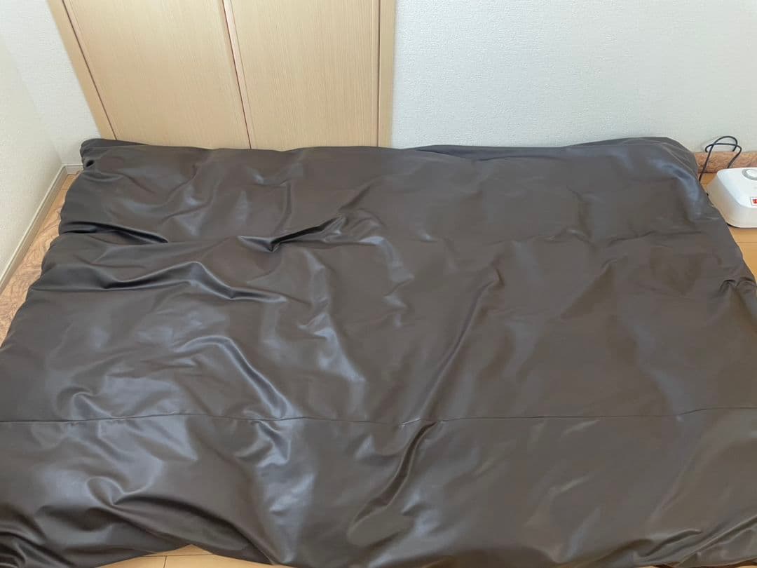 Christmasセール♪TELUSGIZER Refine 美容機器寝るだけ◎