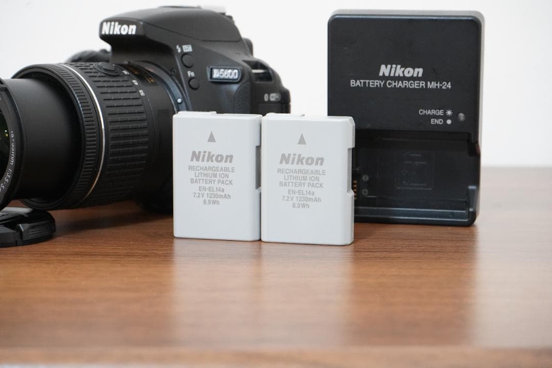【ショット数3509枚】Nikon D5600 標準レンズ＋バッテリー2個付き