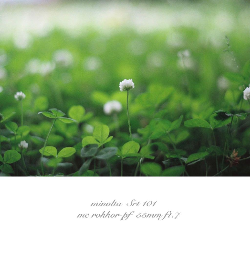 minolta srt101 ★美品＊完動品★緑のロッコール★作例多数＊保証付