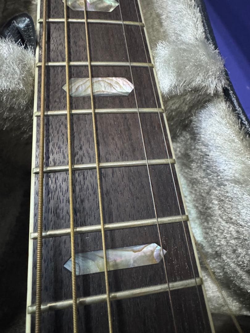 MORRIS TF-801 アコースティックギター