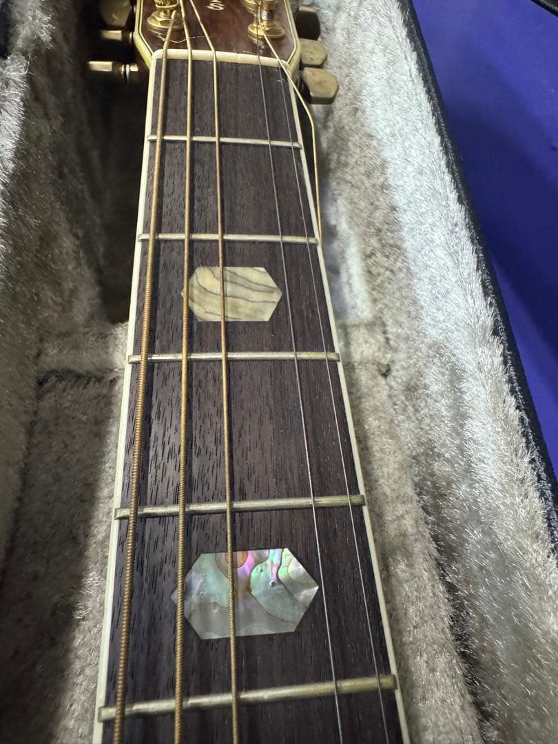 MORRIS TF-801 アコースティックギター