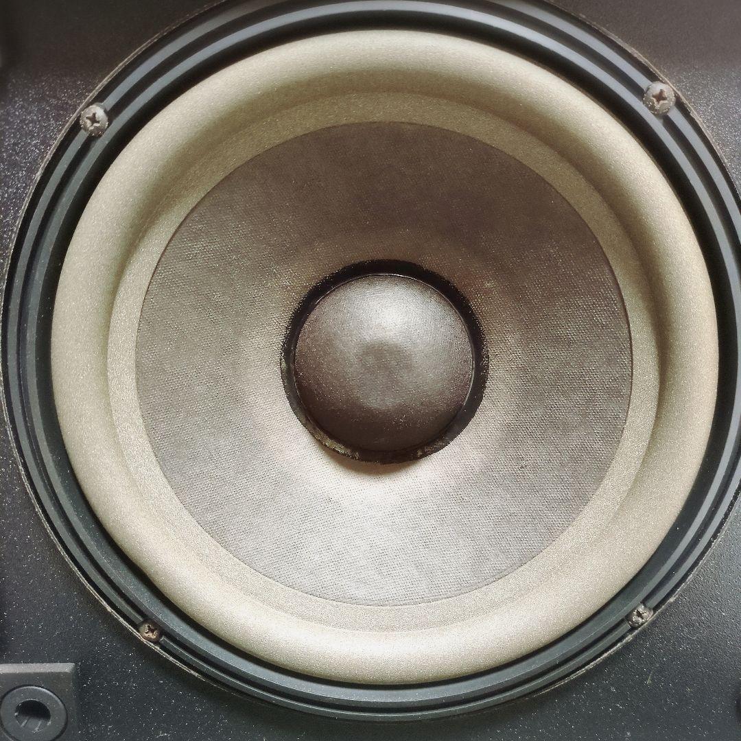 BOSE 301-AV MONITOR スピーカーペア 301AVM ボーズ