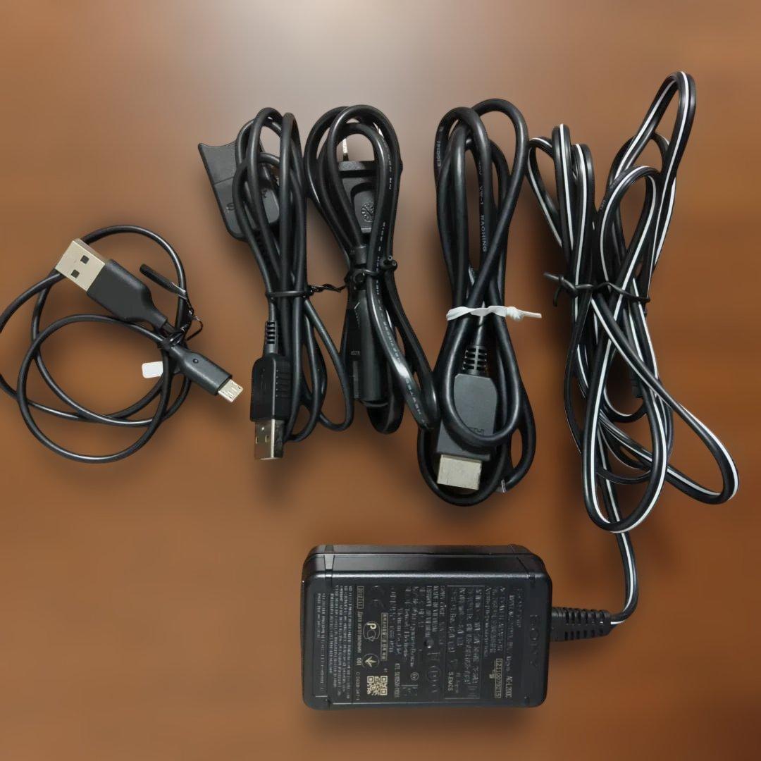 SONY HDR-CX390 ビデオカメラ 本体