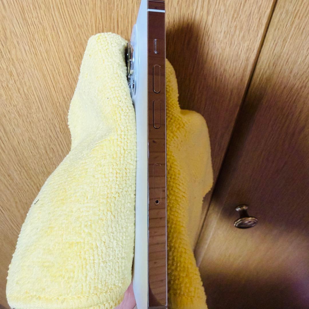 おまけ付き iPhone 14 Pro シルバー 512GB