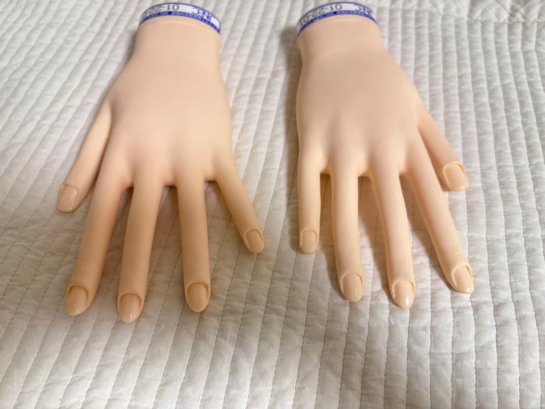 ネイリスト技能検定試験用　認定モデルハンド