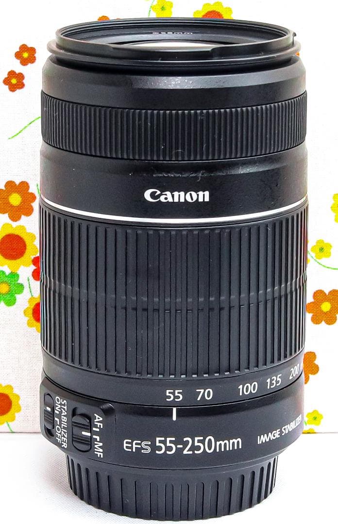 キャノン Canon EF-S 55-250mm IS Ⅱ☆手振れ補正付☆美品