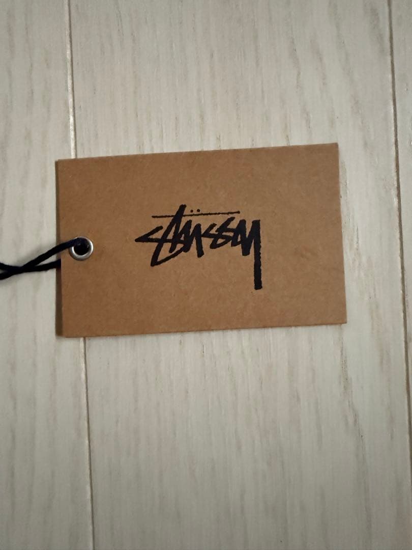 Stussy フード付きダウンジャケット ライトブルー