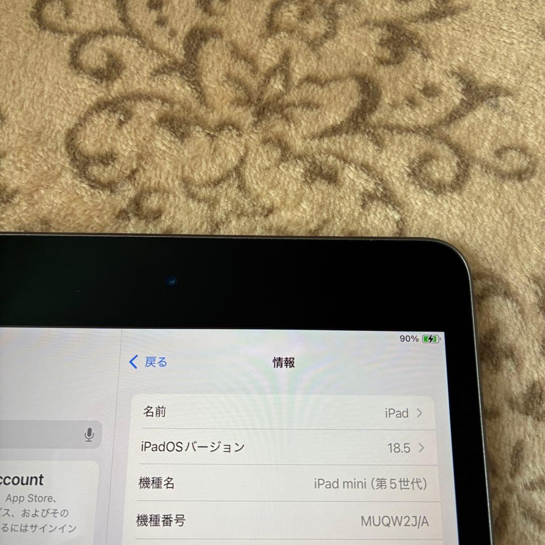 iPad mini5 第5世代 A2133 Wi-Fi 64G ジャンク