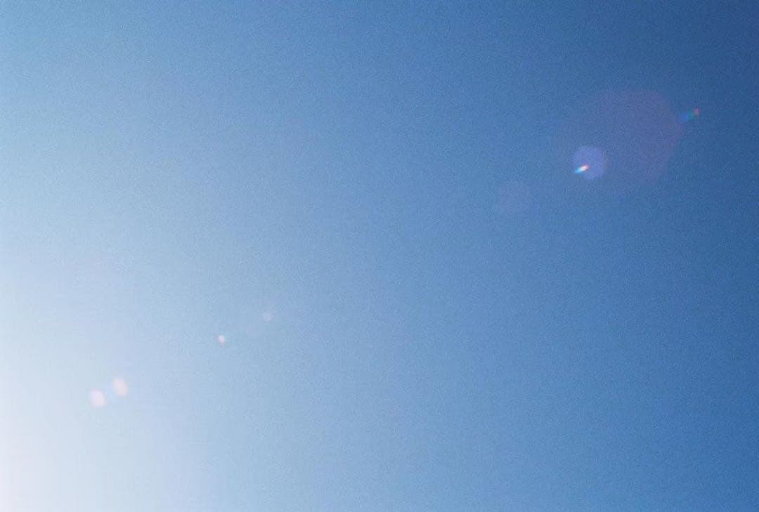 Nikon F5 一眼レフカメラ(作例あり)