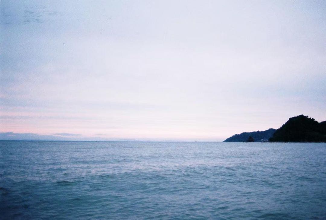 Nikon F5 一眼レフカメラ(作例あり)