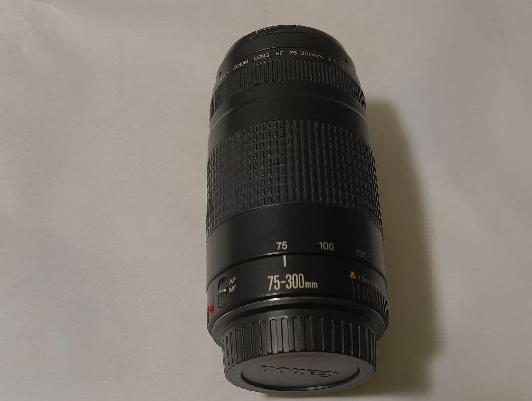 年始値下げ Canon EOS 6D +レンズ4本セット+その他