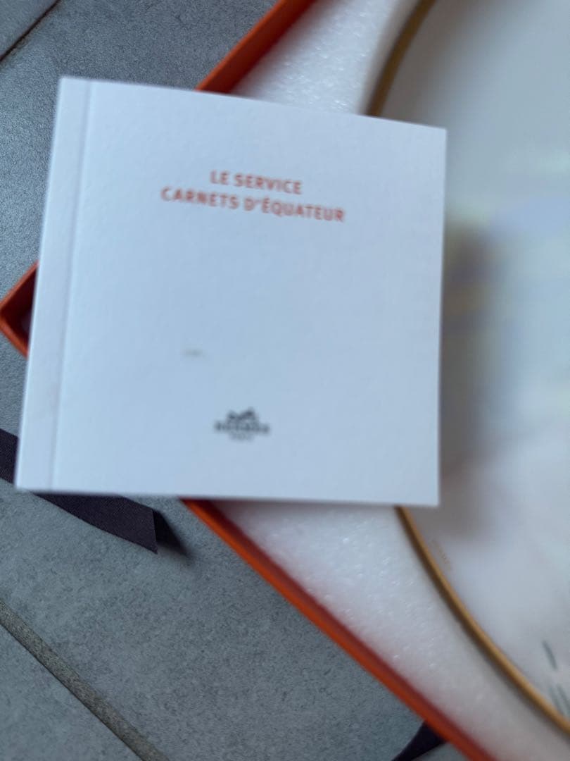 新品　HERMES 赤道直下　ディナープレート　正規品