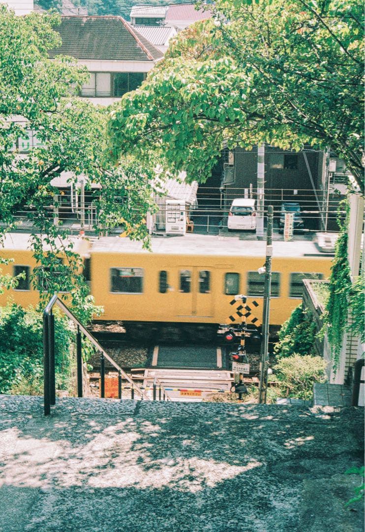 【作例あり】OLYMPUS PEN F 38mmf1.8付き