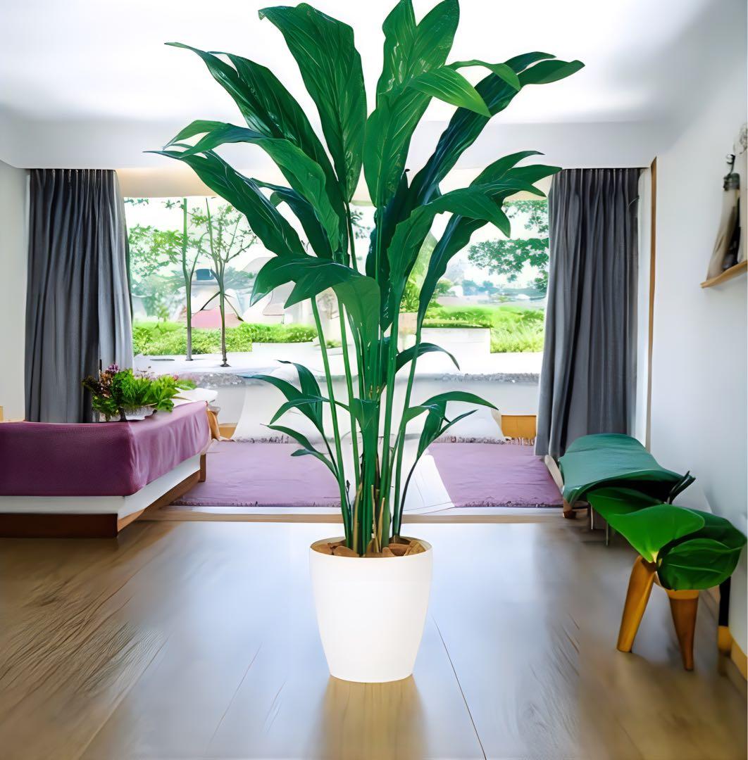 光触媒　人工観葉植物　ウォールグリーン　フェイクグリーン　チャメドレア 160