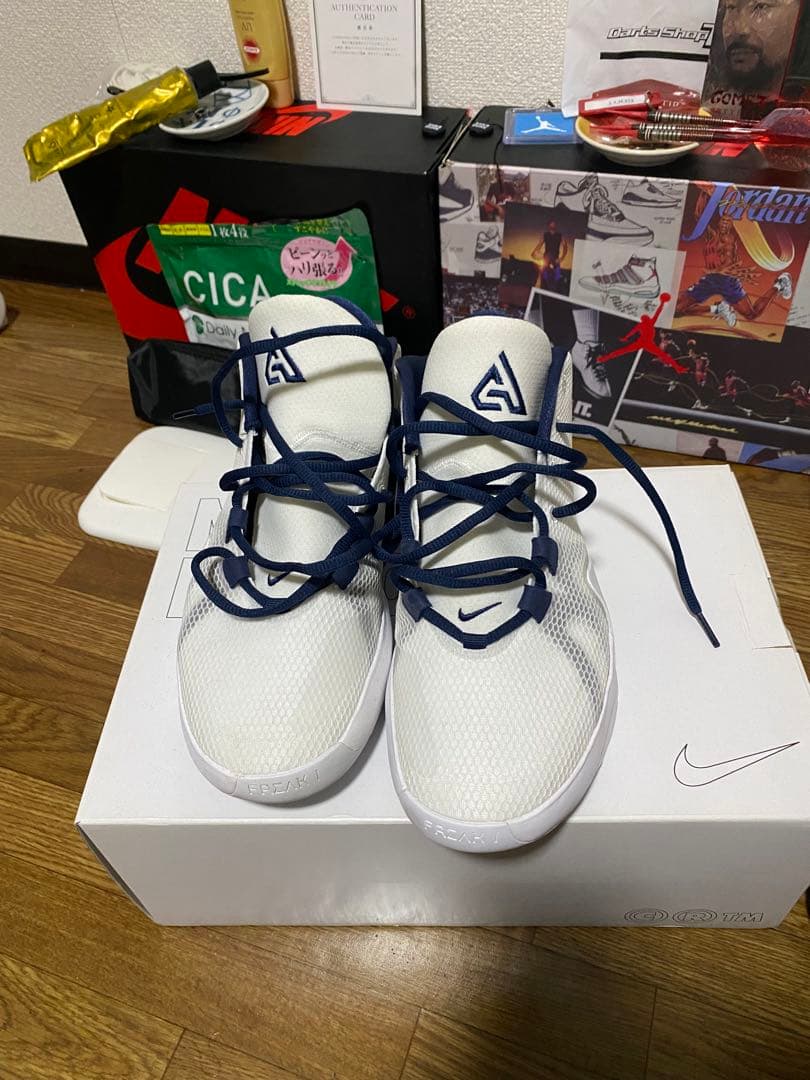 【美品】NIKE Zoom Freak1 id