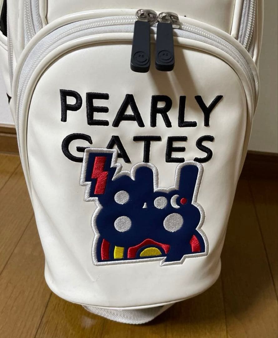 どうしちゃったPGキャディバック