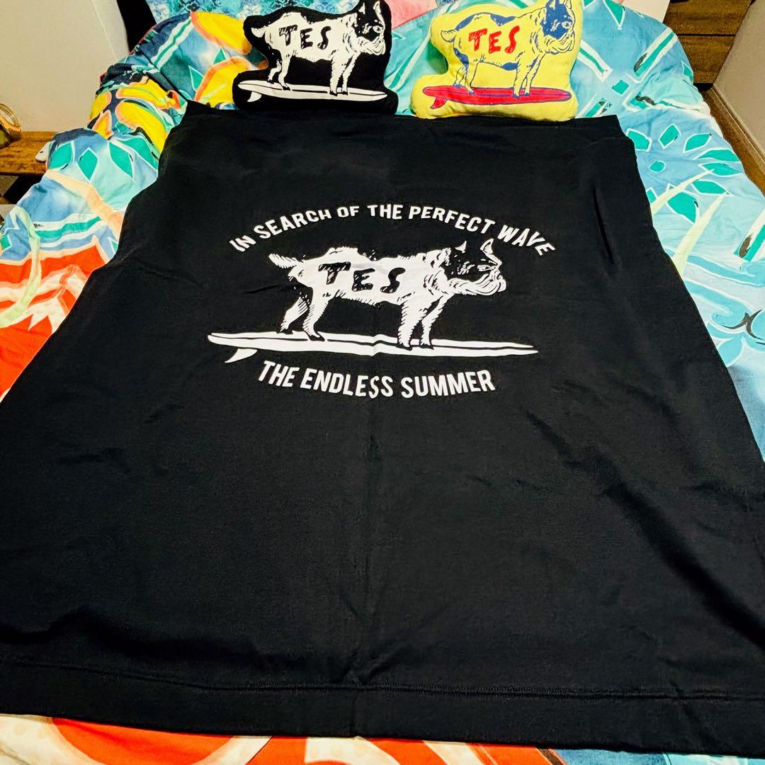 【レア！】TES エンドレスサマー BUHI大判ブランケット