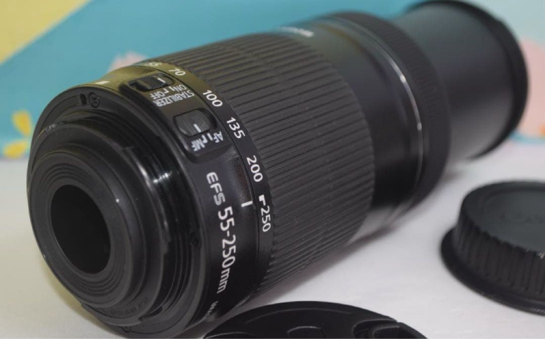 美品❤️超静音レンズ❤️Canon EF-S 55-250mm IS STM